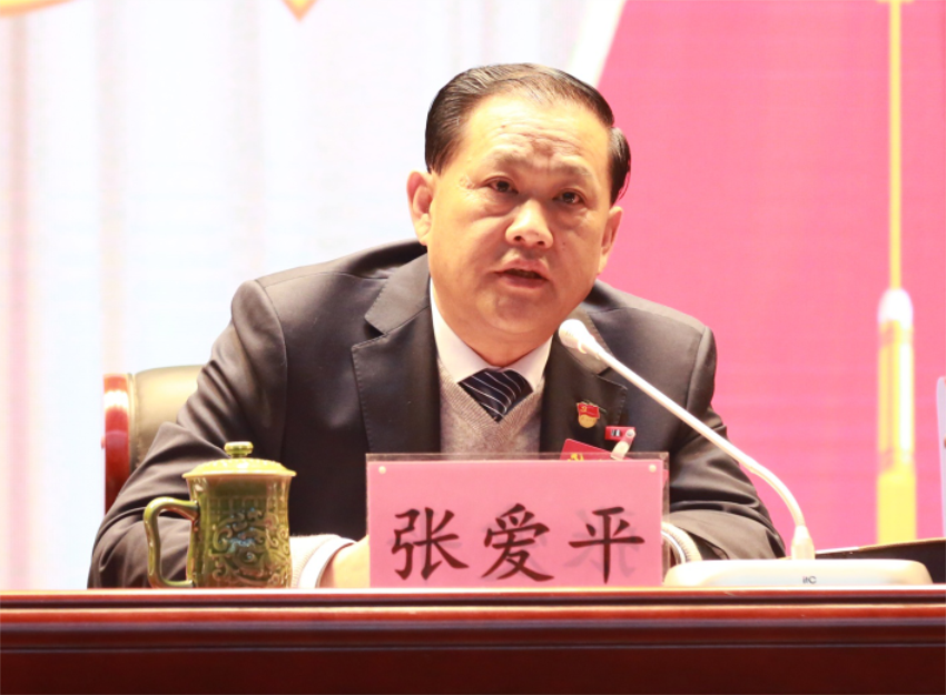 张爱平同志宣读中共华体网页版第一届党委成员分工及纪委成员分工